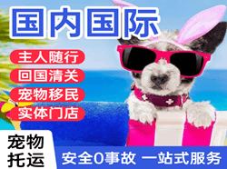 忻州机场托运国际宠物托运 【国